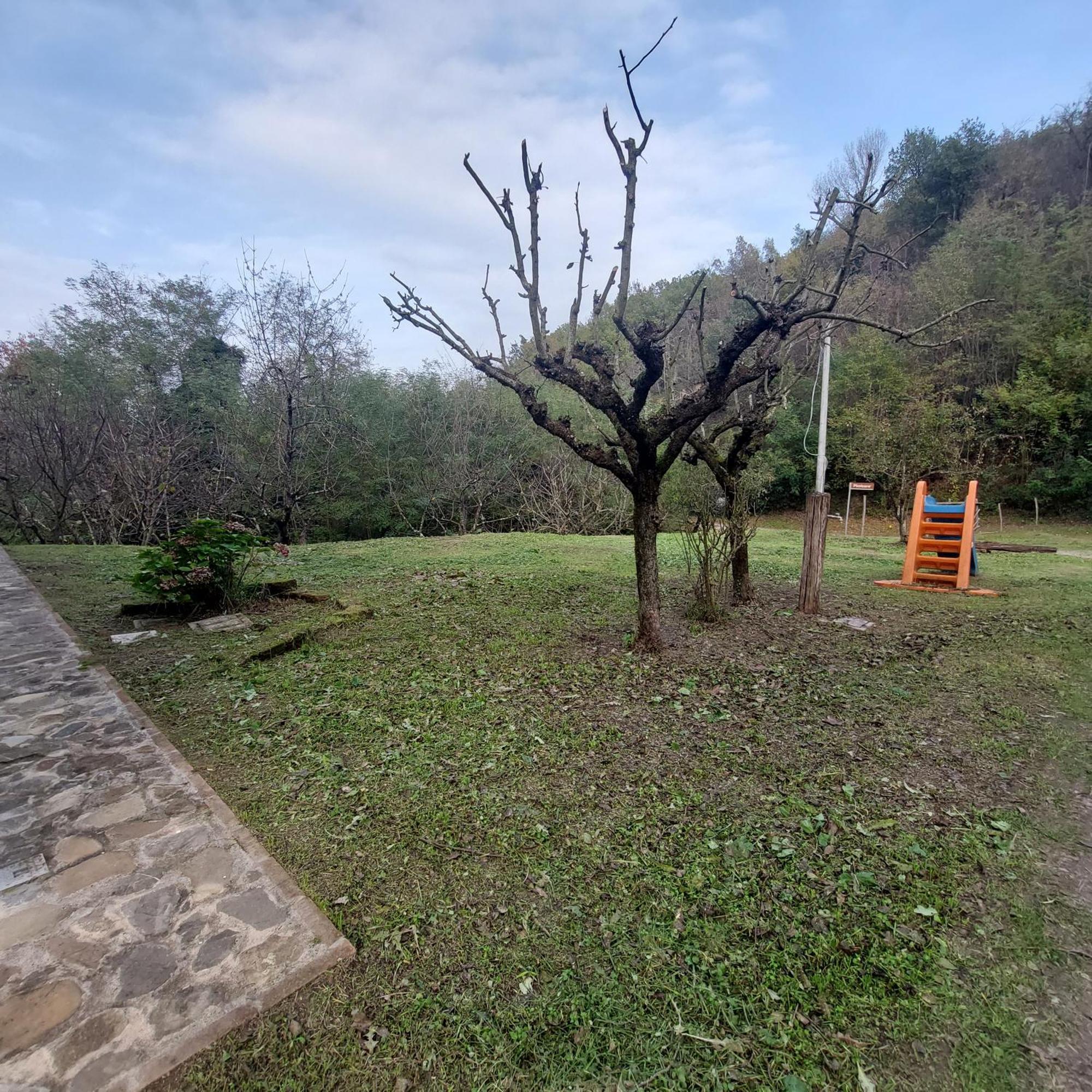 Borgo Pizzicare Bed & Breakfast Vado Dış mekan fotoğraf